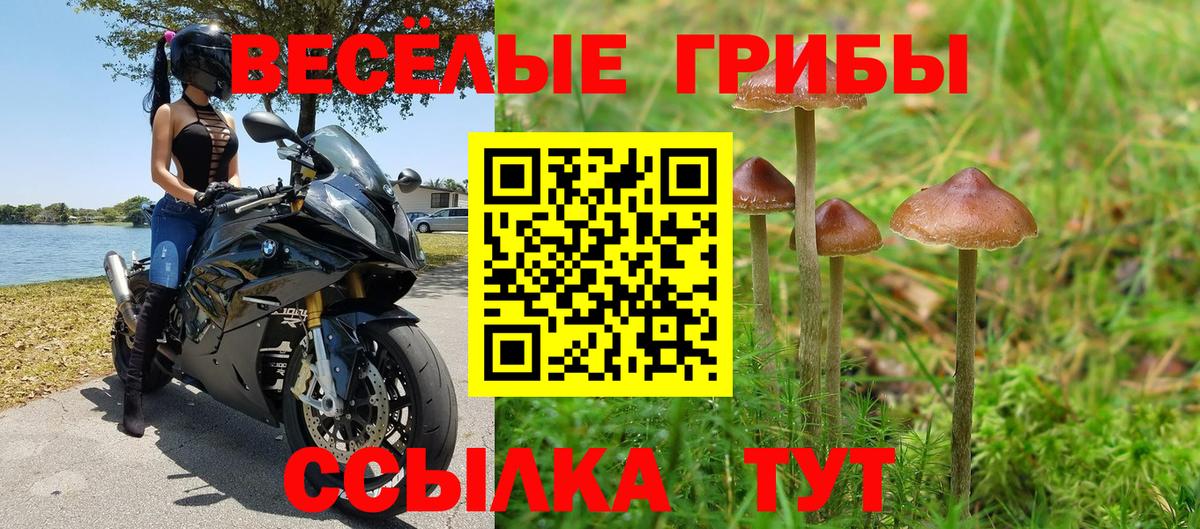 Коряжма  Галлюциногенные грибы прущие грибы  Вход с VPN 