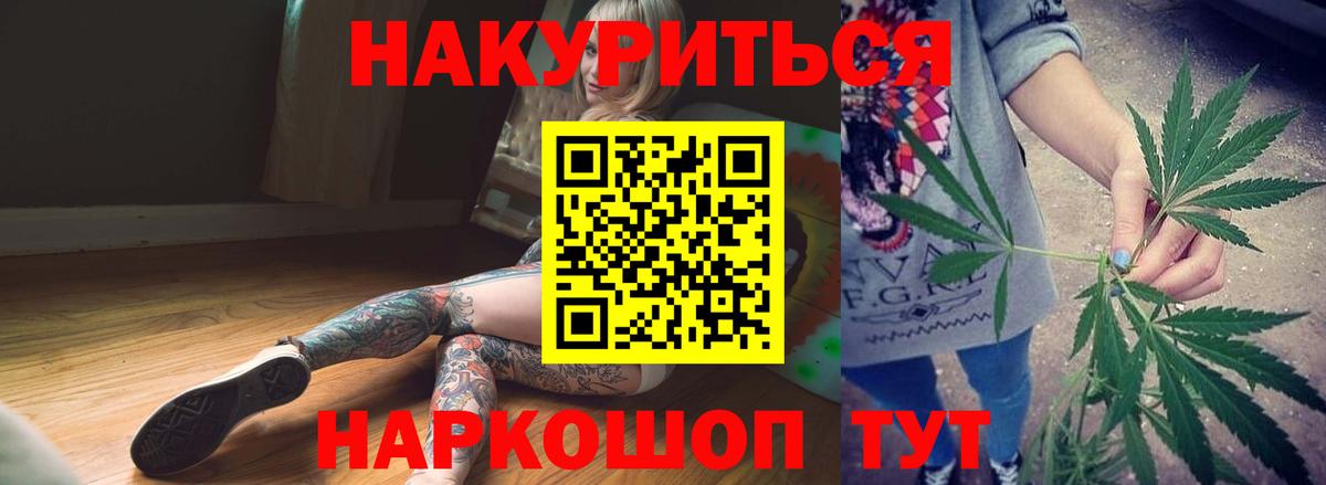 Канабис план Коряжма